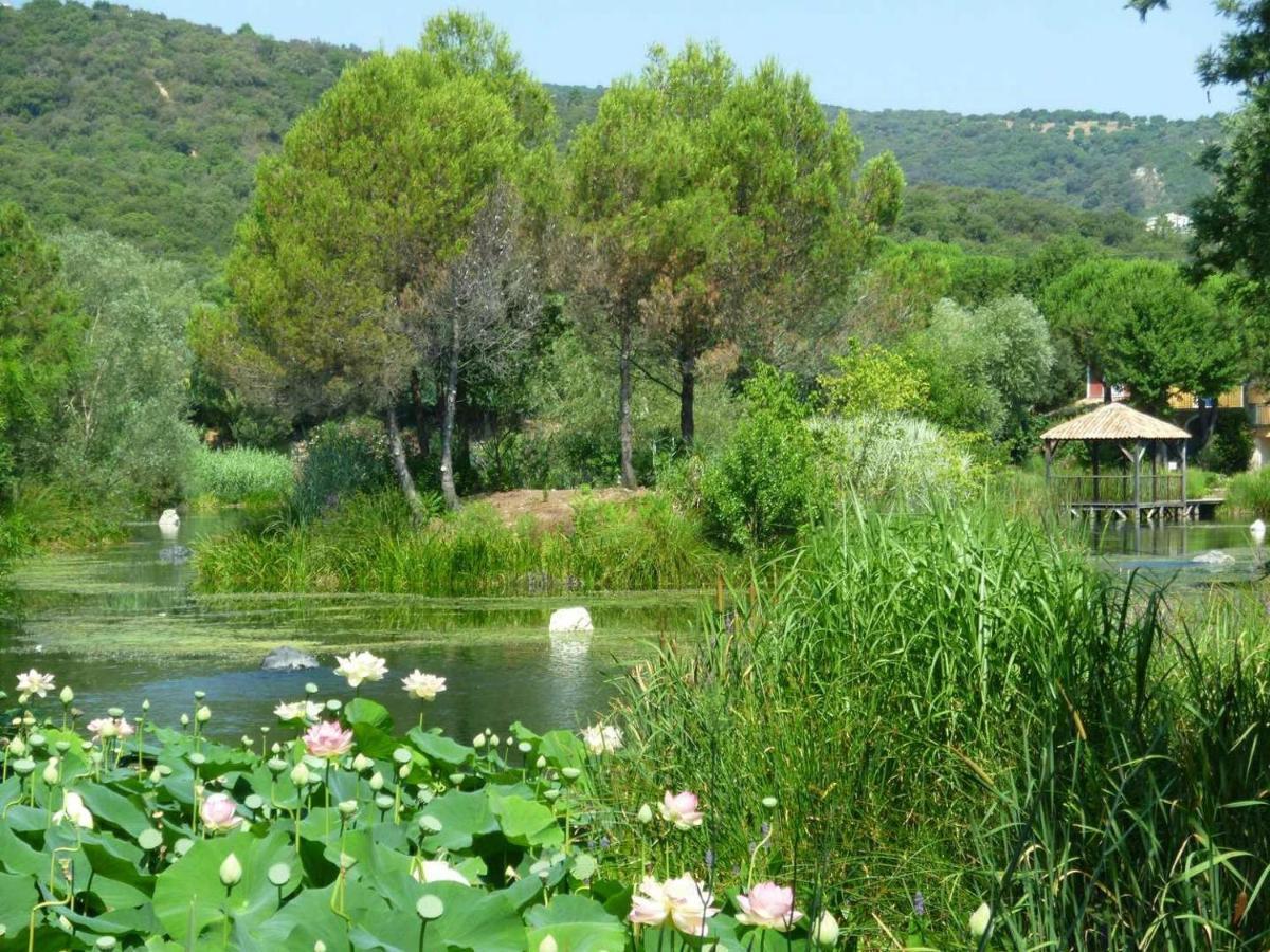 Les Restanques Du Golfe De Saint-Tropez - Pivoine 1040 - Vue Mer Panoramique غريمو المظهر الخارجي الصورة