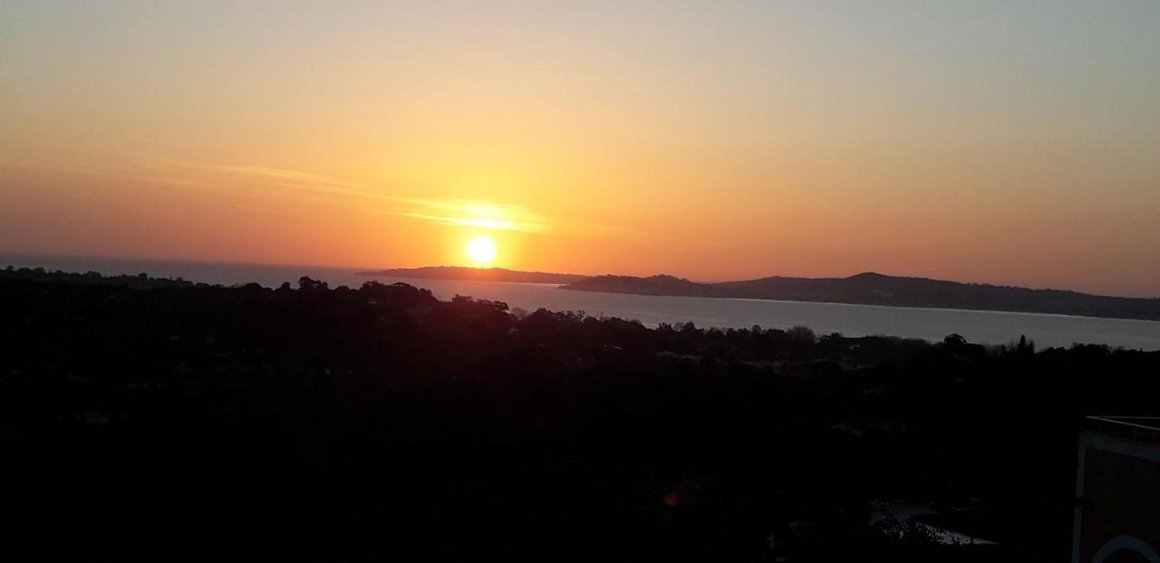 Les Restanques Du Golfe De Saint-Tropez - Pivoine 1040 - Vue Mer Panoramique غريمو المظهر الخارجي الصورة